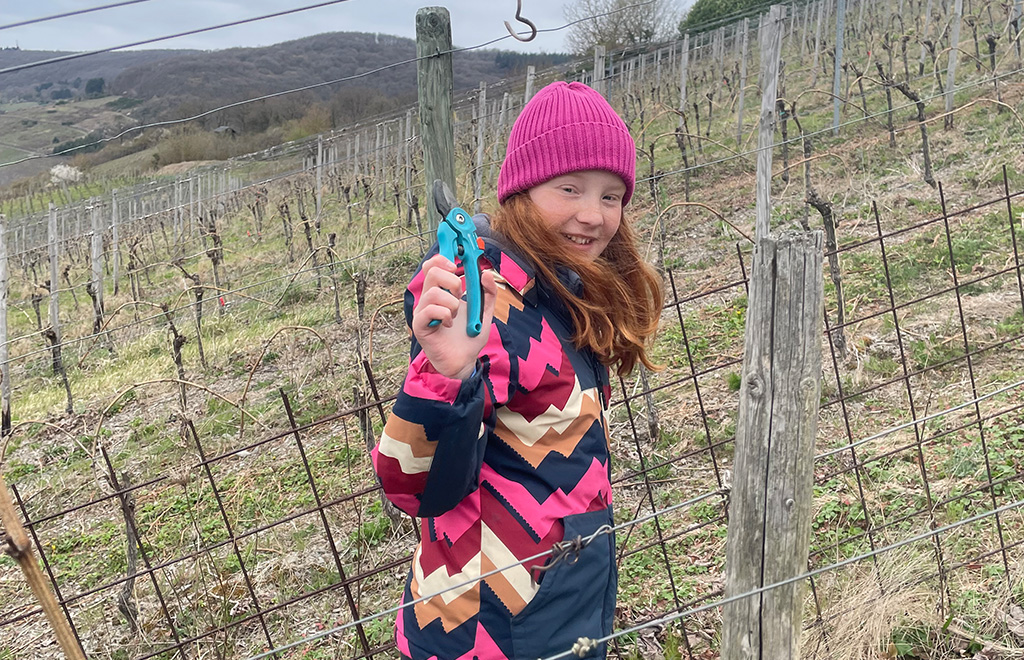 Tochter der Familie Deren in den Weinbergen. Tochter der Familie Deren in den Weinbergen.